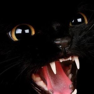 Meet your Posher, Kendra